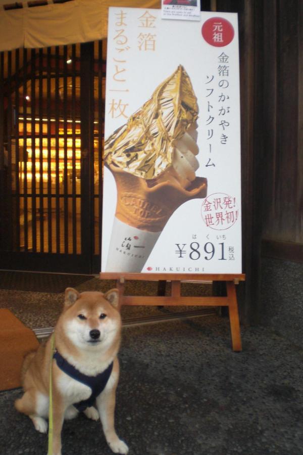 Kanazawa Share House Gaooo Экстерьер фото
