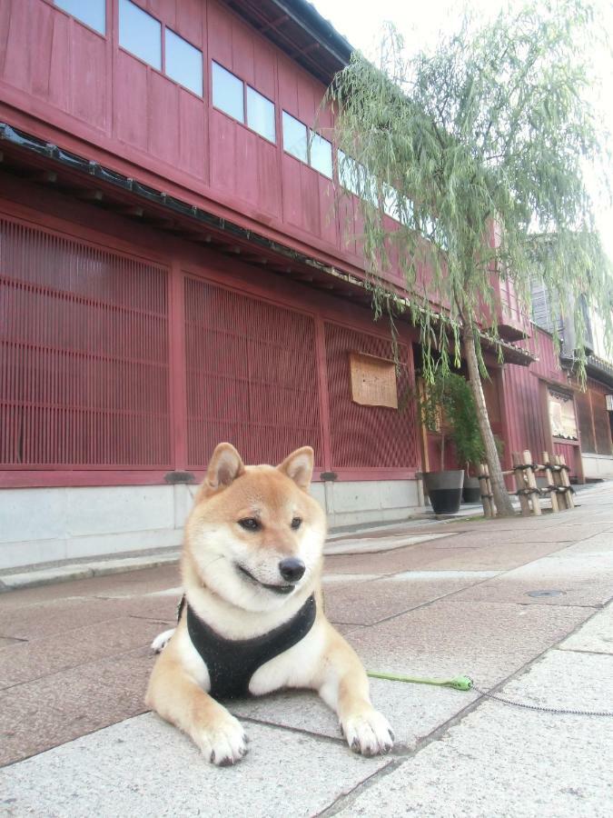 Kanazawa Share House Gaooo Экстерьер фото